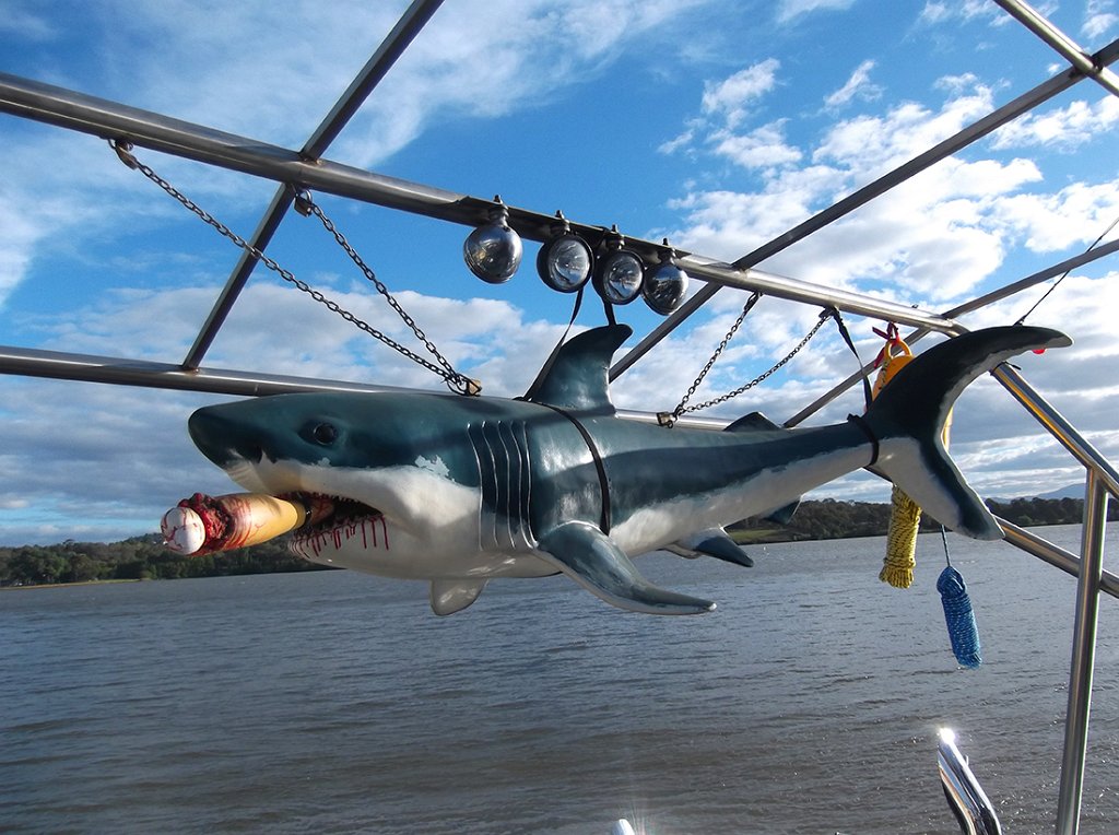 shark.jpg
