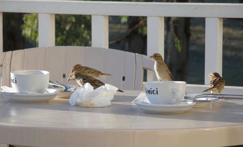 lunch.jpg