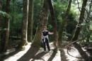 forrest lake te anua.jpg