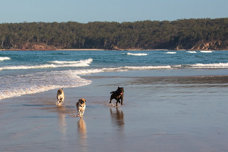 beach1.jpg