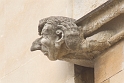 gargoyle