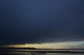 gower