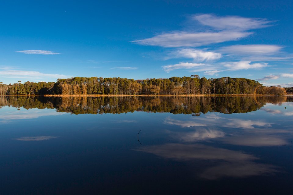 reflect4