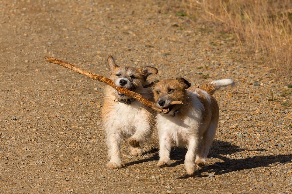 stick2