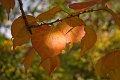 IMG_8034