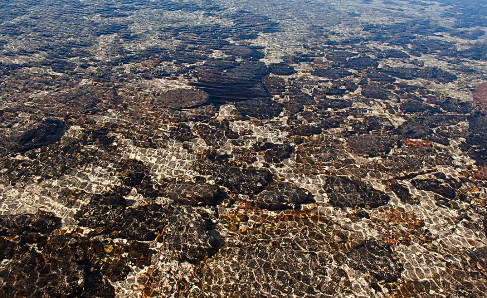 rockpool.jpg
