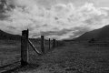 fence