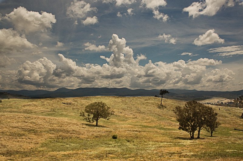 landscape3.jpg