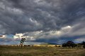 STORM2
