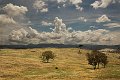 landscape3