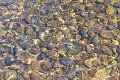 pebbles
